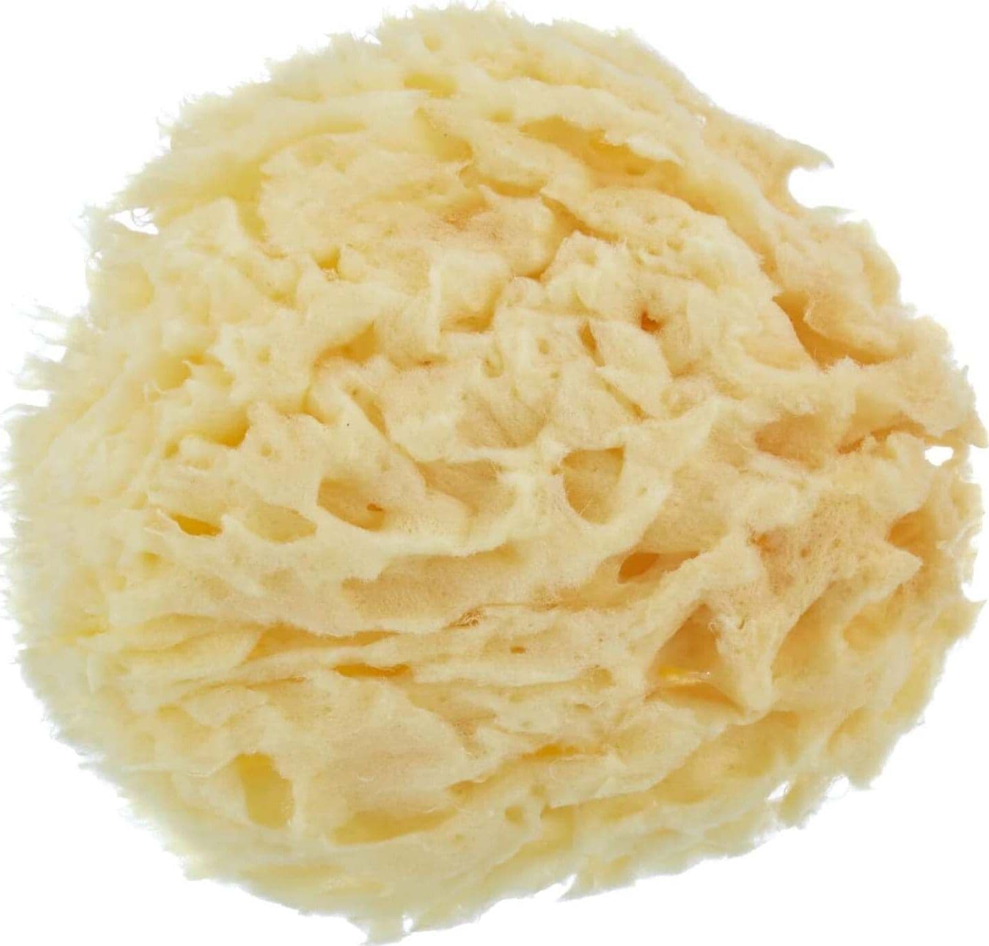 OKBABY Spugna naturale bagno Arcipelago Misura 12 Prima infanzia/Igiene e benessere/Bagnetto/Spugne e guanti Scontolo.net - Potenza, Commerciovirtuoso.it