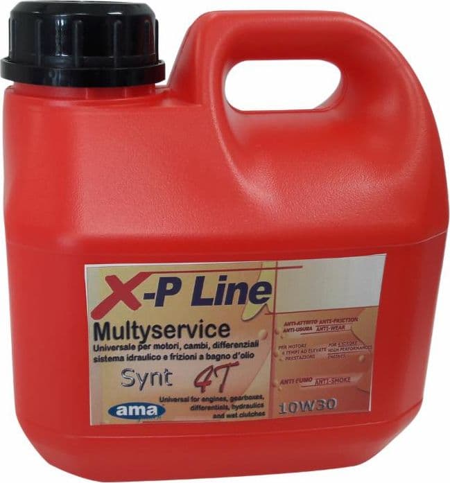 Olio 4t 1l multyservice 10W30 in Oli per cambio GardenStore - Novellara, commercioVirtuoso.it