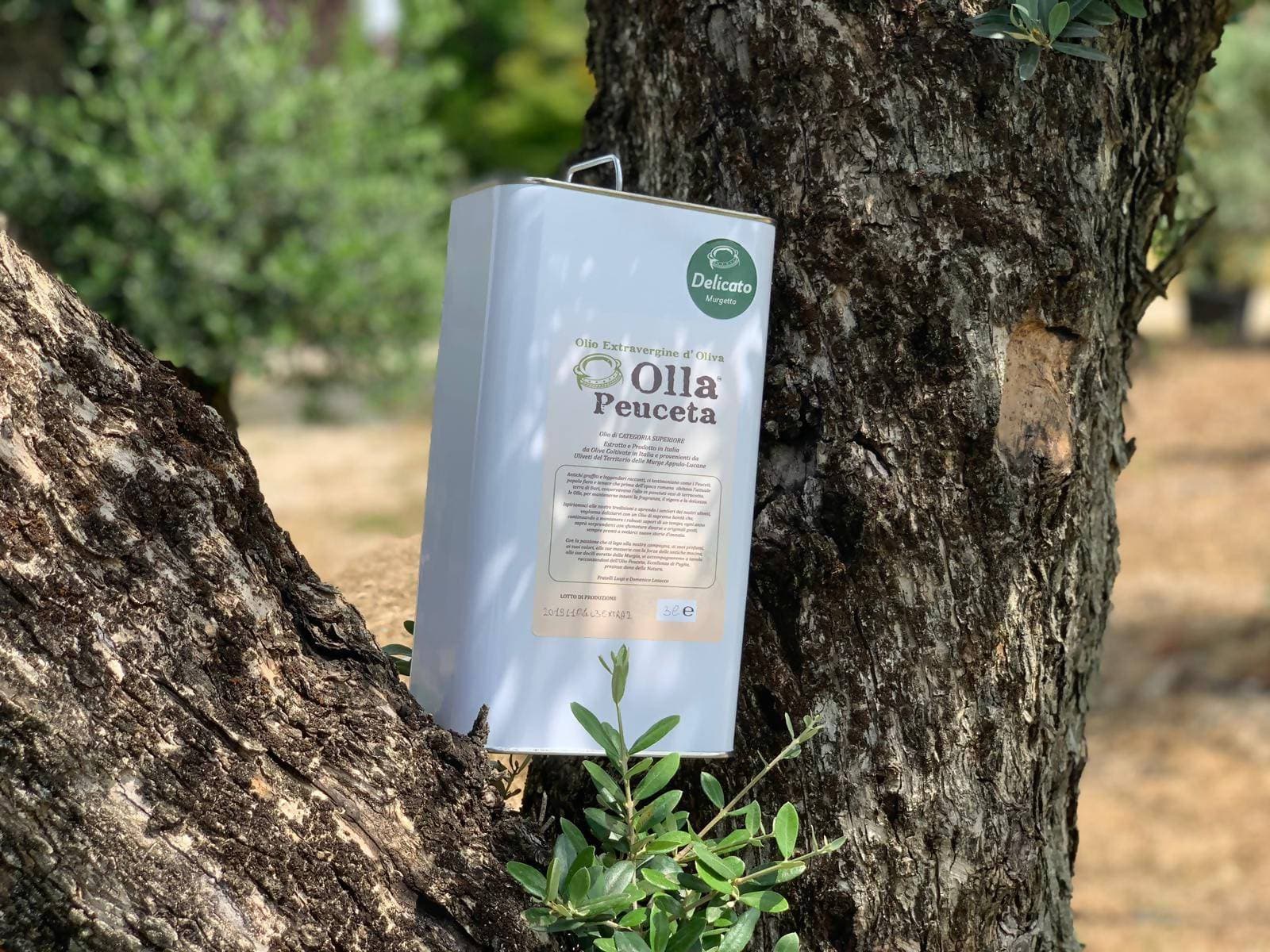 Latta 3L Olio EVO Delicato Olio Extra Vergine di Oliva Olla Peuceta - Padova, Commerciovirtuoso.it