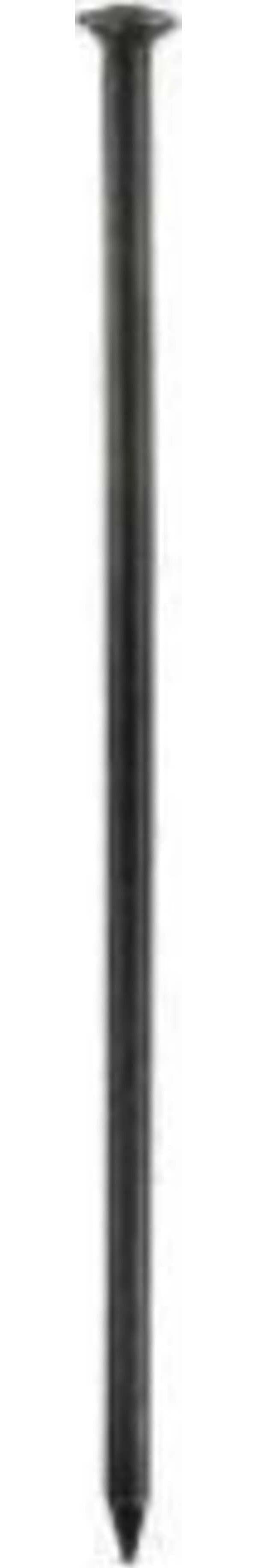 ORECA-CHIODI-TESTA-BOMBATA-FERRO-NICHELATO-mm-1,3X12-GR.50