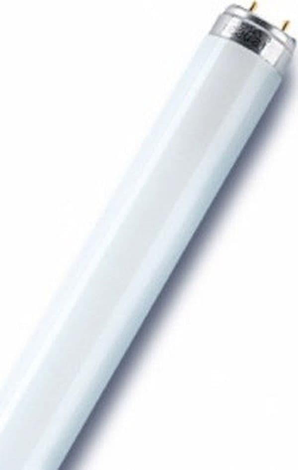 OSRAM-Tubo-neon-T8-L18840-18W-D.-2,6-x-h.-59-cm