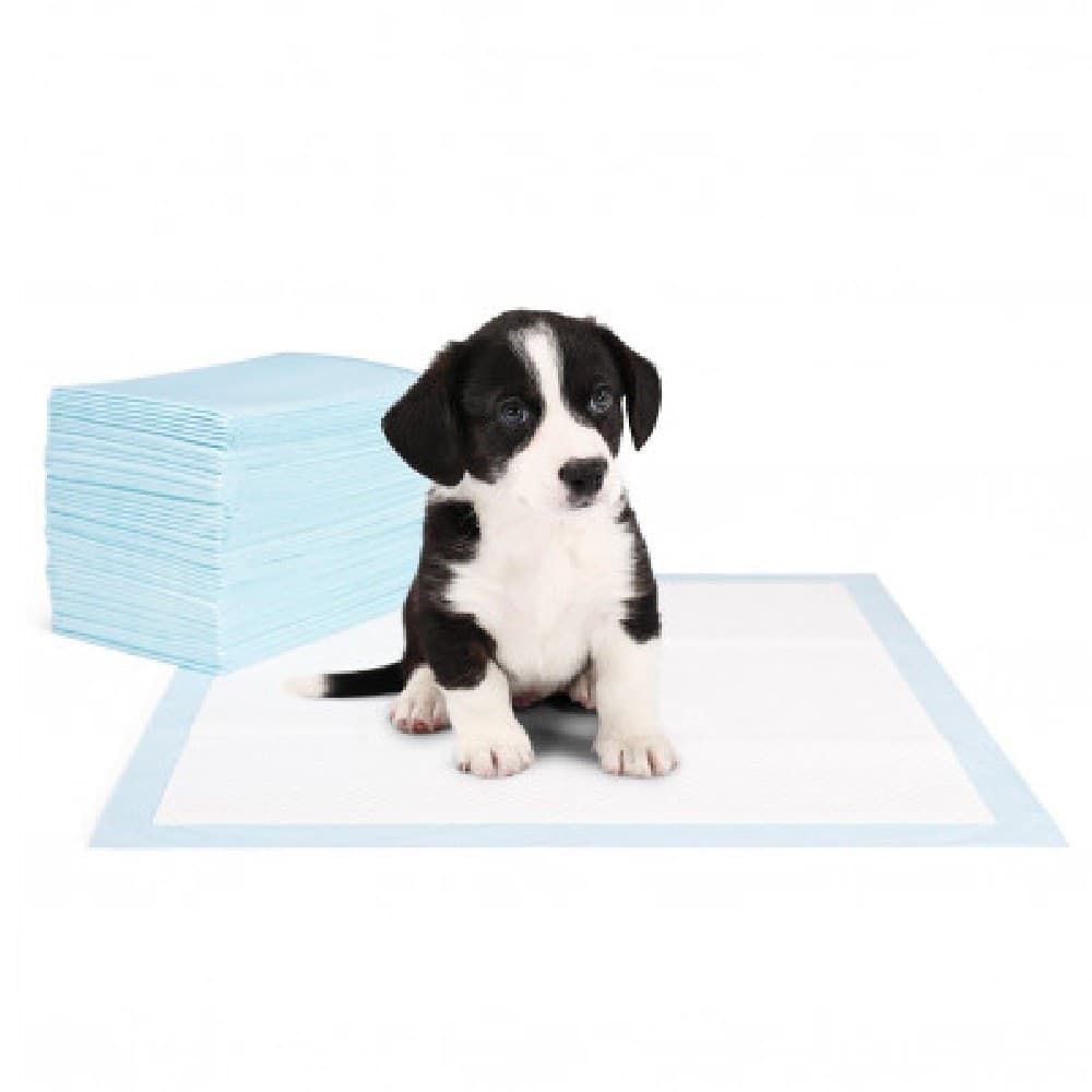 Pack 40 Traversine Cani 60 X 40 Cm Nobleza Tappeto Assorbente Puppy Pads Prodotti per animali > Prodotti per Cani > Tappetini Igienici Trade Shop italia - Napoli, Commerciovirtuoso.it