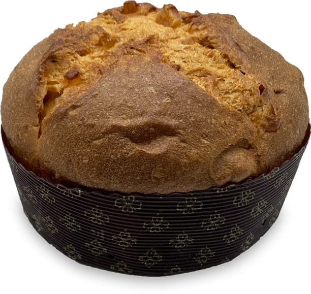 Panettone Mela E Zenzero 500gr. Artigianale Made in Italy Panettone Classico Mela Leggermente Candita Zenzero Alimentari e cura della casa/Pasticceria e prodotti da forno/Torte/Panettoni Conca d’Oro - Campiglia Marittima, Commerciovirtuoso.it