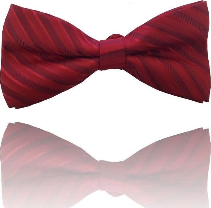 Papillon Strisce Rosso Cravattino Farfallino Cravatta Frack Papion Moda/Bambini e ragazzi/Accessori/Cravatte e papillon/Papillon Trade Shop italia - Napoli, Commerciovirtuoso.it