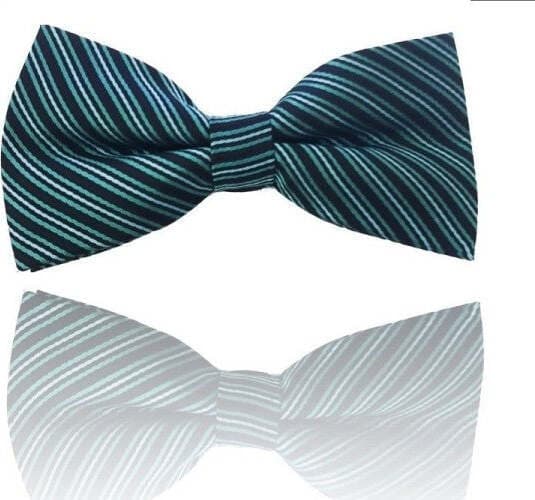 PAPILLON STRISCE VERDE RIGHE CRAVATTINO FARFALLINO CRAVATTA FRACK PAPION