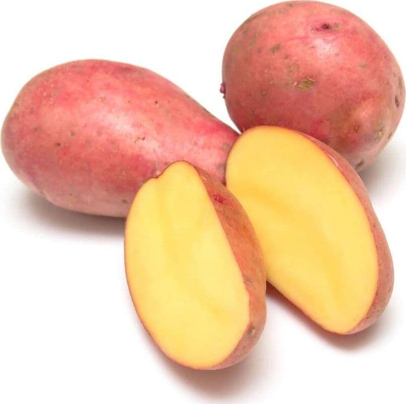 Patate Rosse Italiane Patata rossa di qualità Labella Senza glutine Prodotta in Italia Patate per Gnocchi e Frittura in Patate Azienda Agricola Di Berardino Matteo - Avezzano, commercioVirtuoso.it