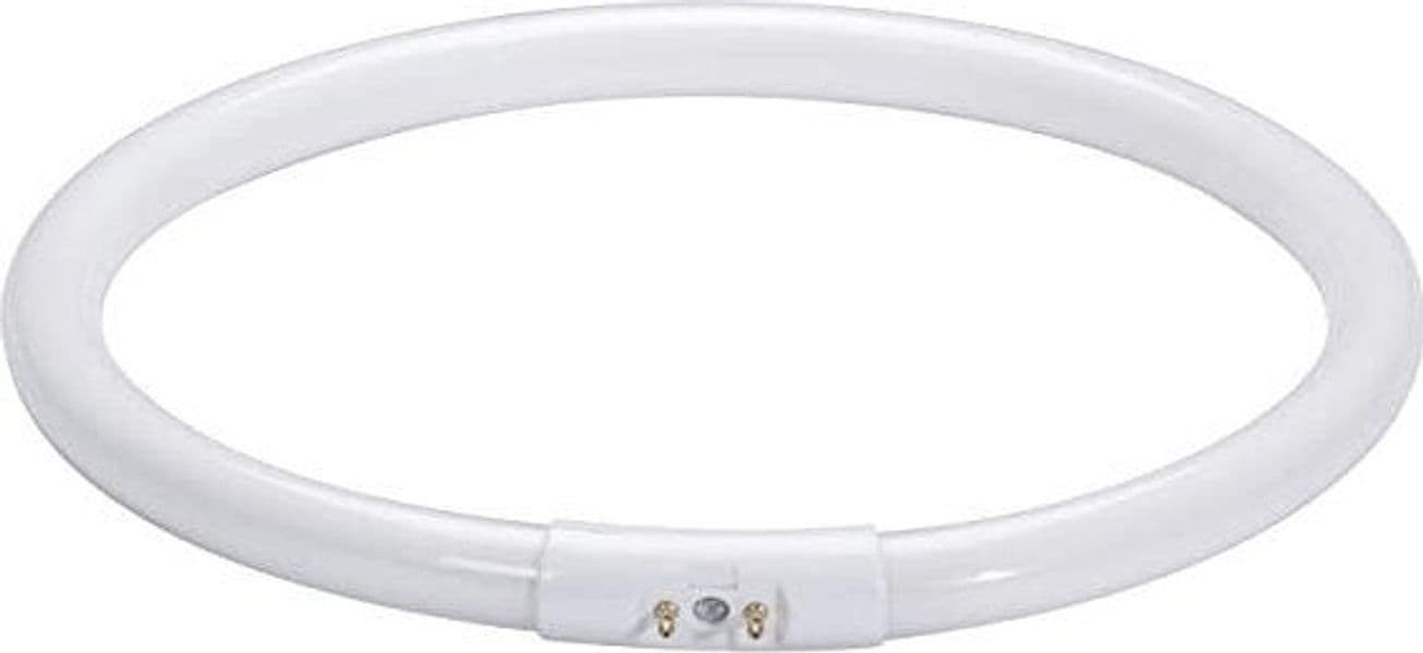 PAULMANN---LAMPADINA-CIRCOLARE-FLUORESCENTE-CON-ATTACCO-AD-INNESTO---T5-22W-2GX13