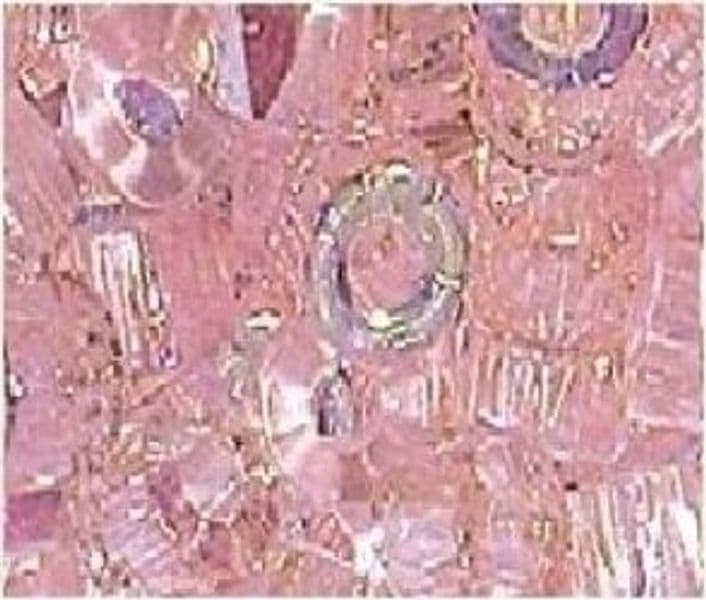 Peach-corona-perline-6-mm