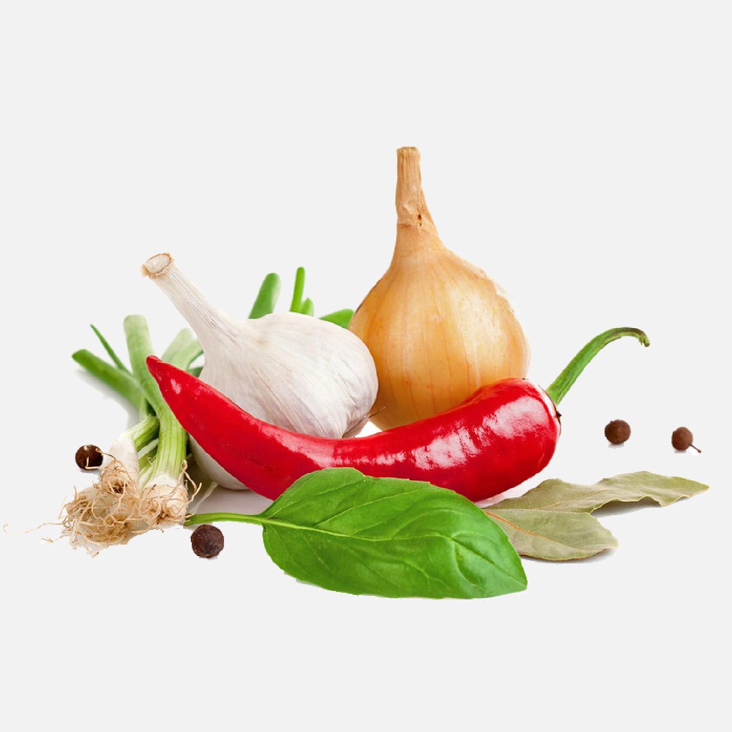 Spezie ed erbe aromatiche intere