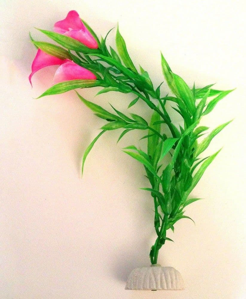 Pianta 25 Cm Piantina Artificiale Per Acquario Piante Finte Plastica Fiore Rosa Prodotti per animali > Prodotti per Acquari > Decorazioni Acquario Trade Shop italia - Napoli, Commerciovirtuoso.it