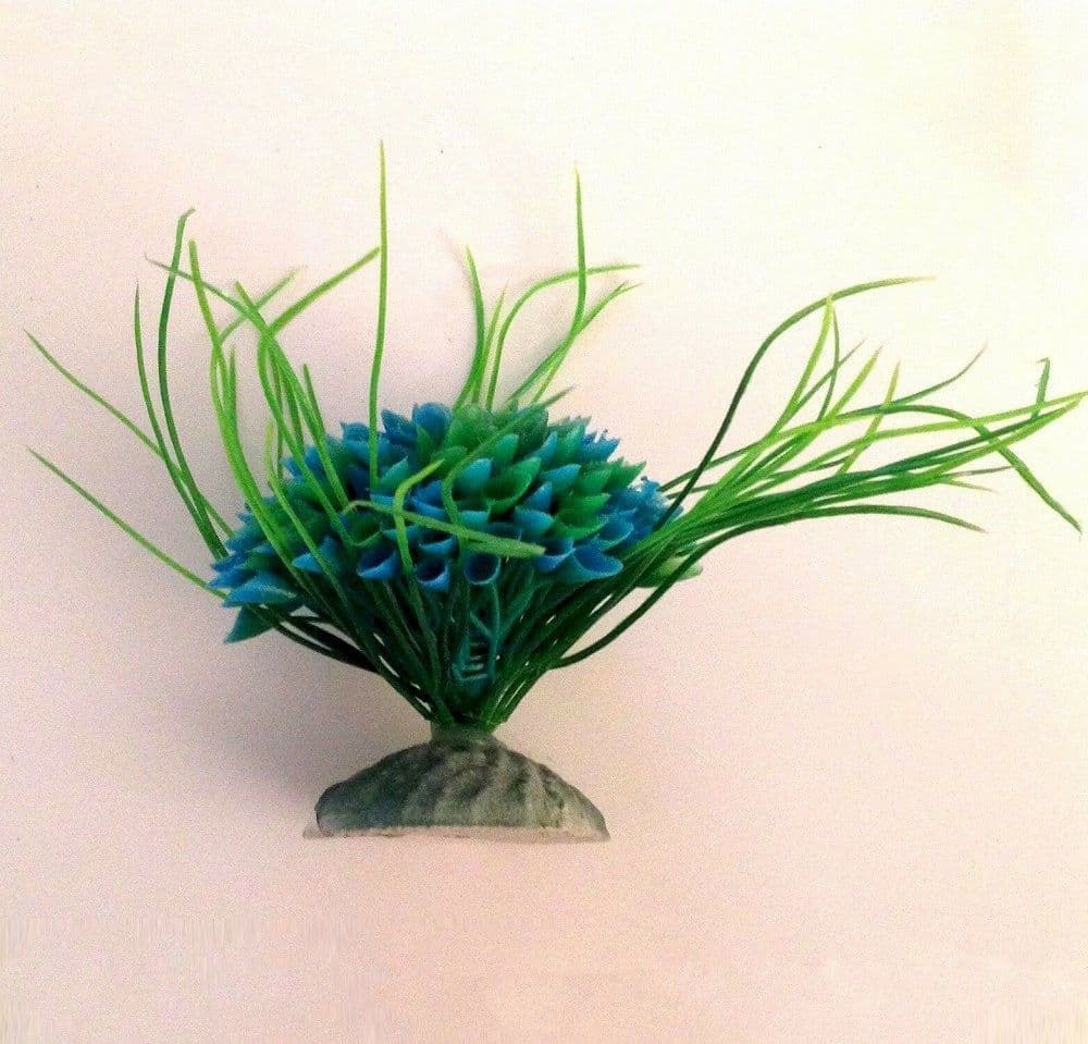 Pianta 7 Cm Piantina Artificiale Acquario Piante Finte Plastica Cespuglio Blu Prodotti per animali > Prodotti per Acquari > Decorazioni Acquario Trade Shop italia - Napoli, Commerciovirtuoso.it