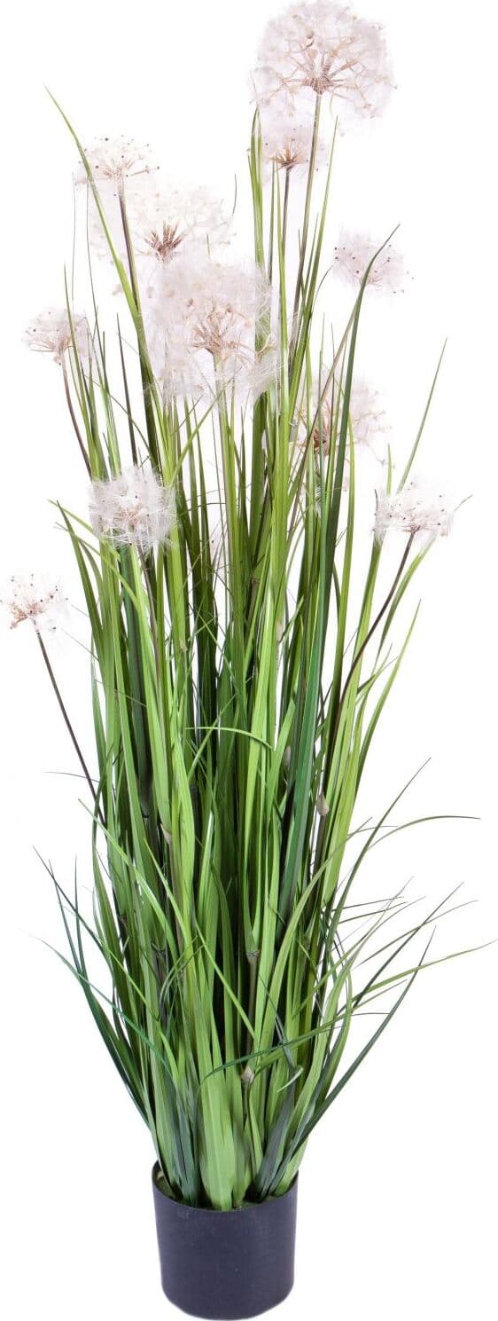 Pianta Dandelion C/vaso Cm 152 Bianchi Dino Giardino e giardinaggio/Piante semi e bulbi/Piante da interno/Fiori Loft Uno di Casa - Catania, Commerciovirtuoso.it