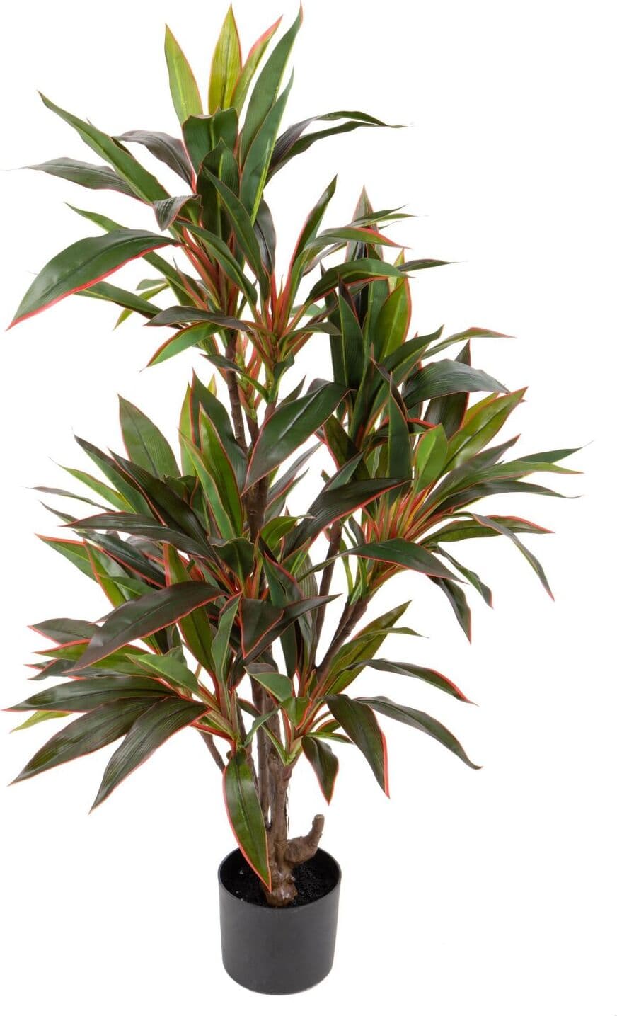 Pianta Dracena Real Touch 115 Cm C/vaso Bianchi Dino Giardino e giardinaggio/Piante semi e bulbi/Piante da interno/Alberi Loft Uno di Casa - Catania, Commerciovirtuoso.it