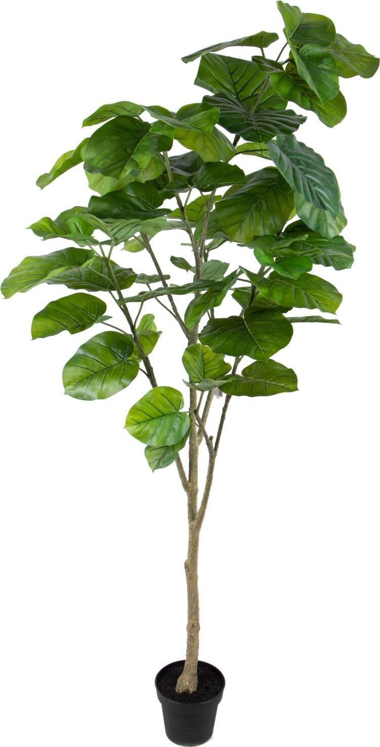 Pianta Ficus 64fgl Real Touch 200 Cm C/vaso Bianchi Dino Giardino e giardinaggio/Piante semi e bulbi/Piante da interno/Felci Loft Uno di Casa - Catania, Commerciovirtuoso.it
