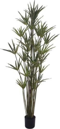 Pianta Papiro C/vaso H.150 Cm Bianchi Dino Giardino e giardinaggio/Piante semi e bulbi/Piante da interno/Felci Loft Uno di Casa - Catania, Commerciovirtuoso.it