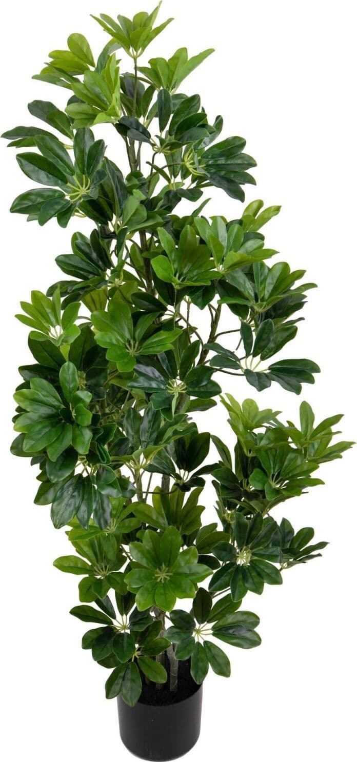 Pianta Real Touch Schefflera 115 Cm C/vaso Bianchi Dino Giardino e giardinaggio/Piante semi e bulbi/Piante da interno/Alberi Loft Uno di Casa - Catania, Commerciovirtuoso.it