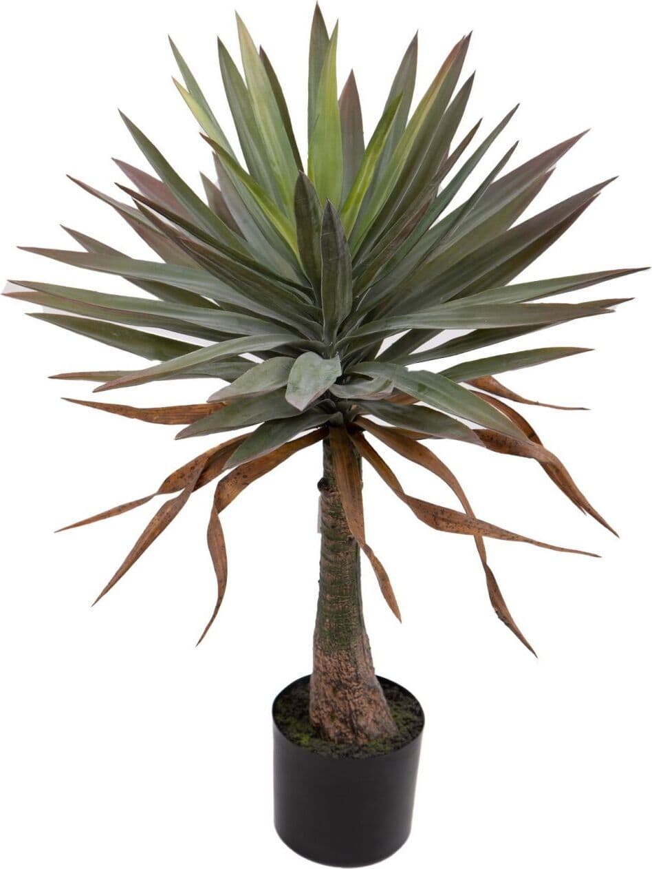 Pianta Yucca Gloriosa 88 Cm C/vaso Bianchi Dino Giardino e giardinaggio/Piante semi e bulbi/Piante da interno/Alberi Loft Uno di Casa - Catania, Commerciovirtuoso.it