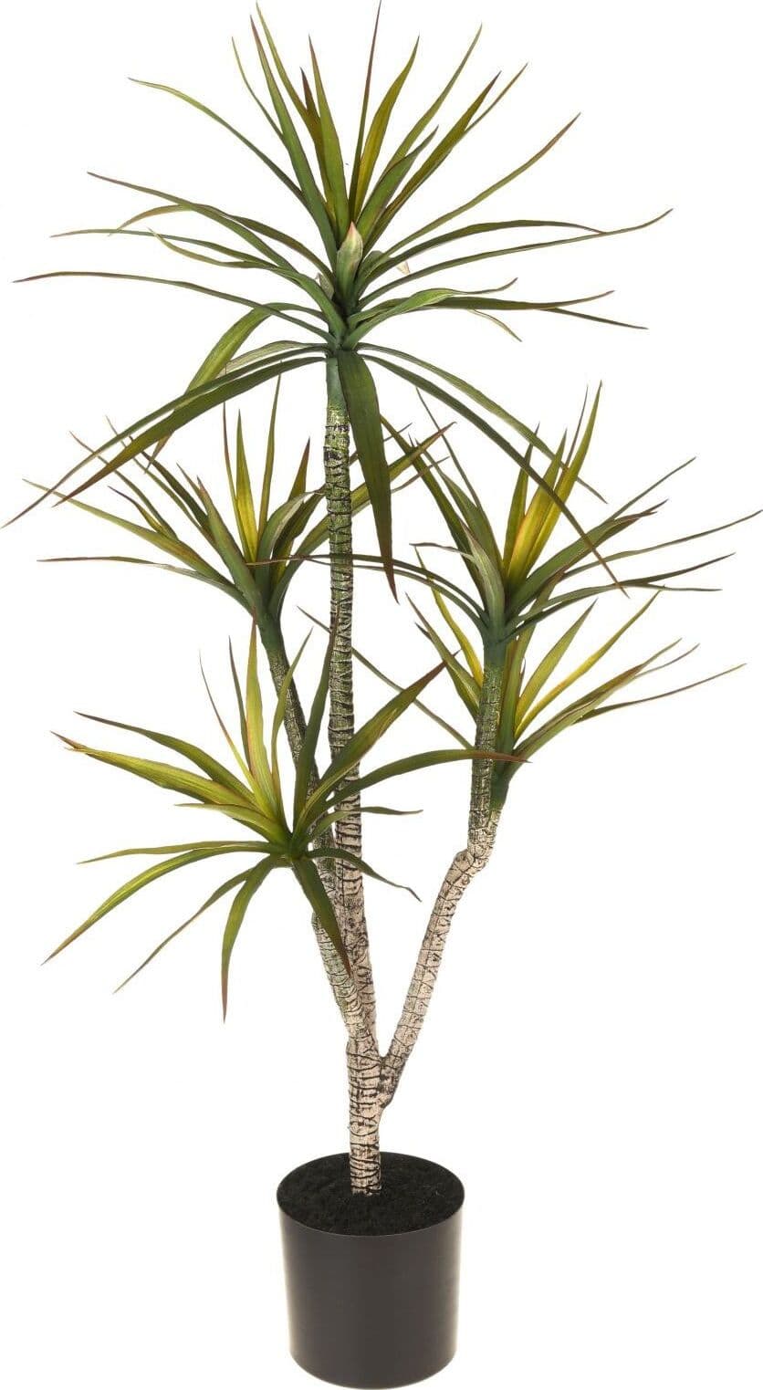 Pianta Yucca X5 C/vaso 116 Cm Bianchi Dino Giardino e giardinaggio/Piante semi e bulbi/Piante da interno/Alberi Loft Uno di Casa - Catania, Commerciovirtuoso.it