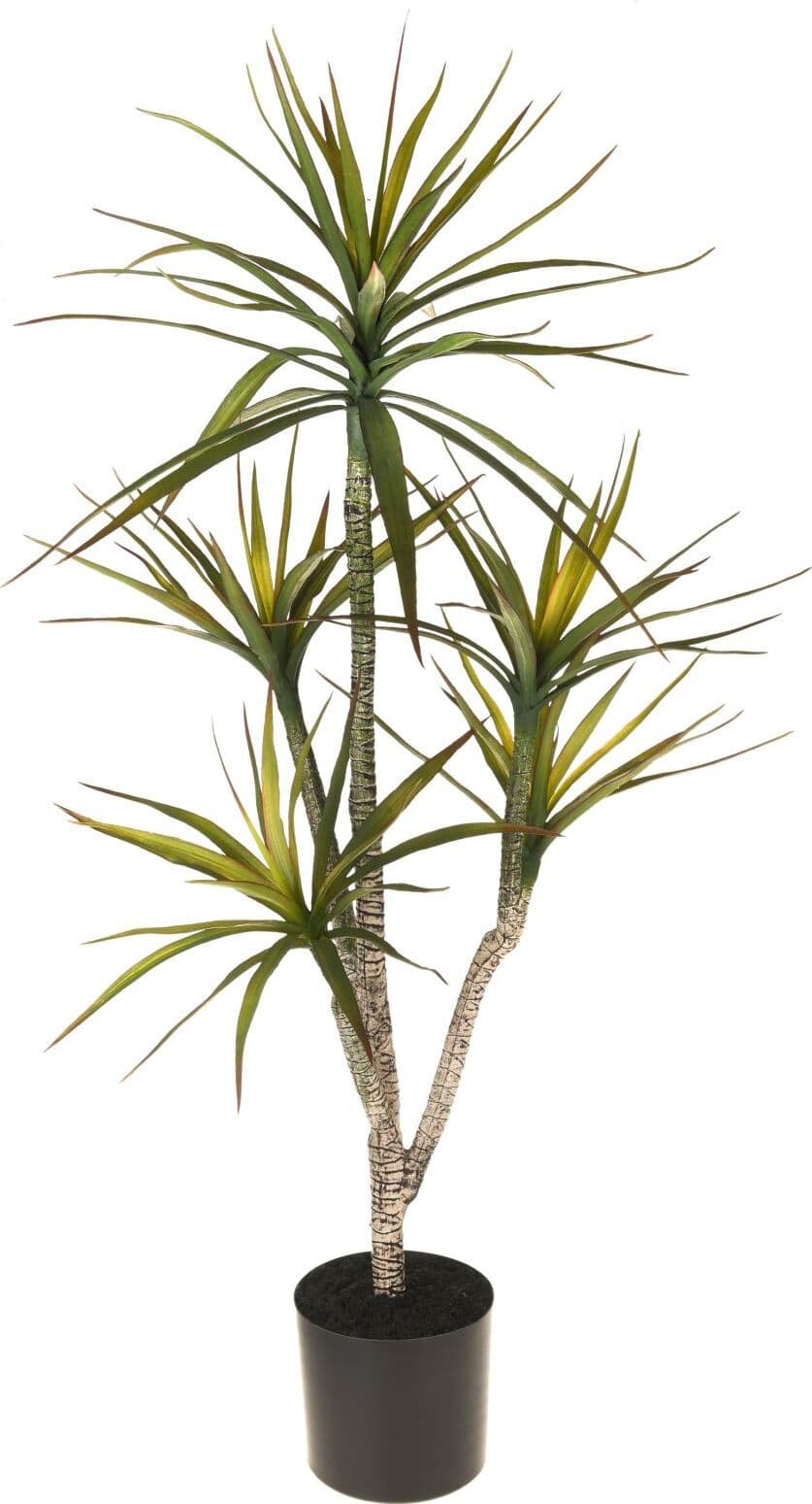 Pianta Yucca X5 C/vaso 116 Cm Bianchi Dino Giardino e giardinaggio/Piante semi e bulbi/Piante da interno/Alberi Loft Uno di Casa - Catania, Commerciovirtuoso.it