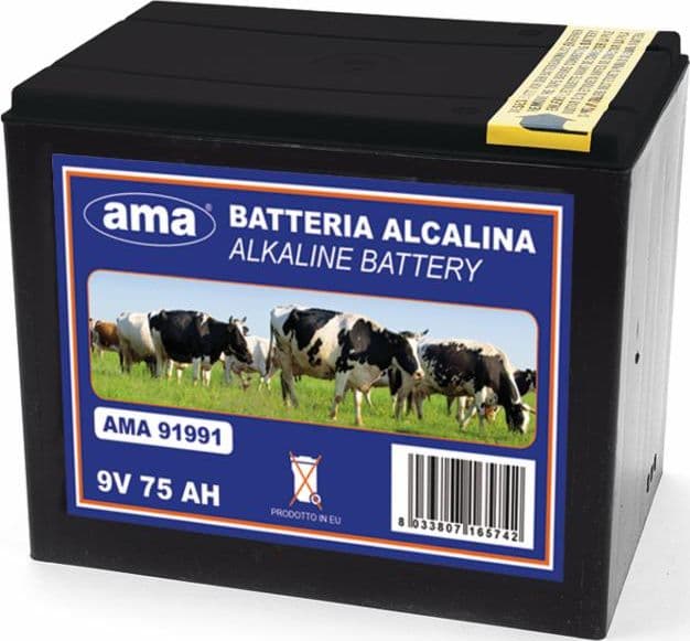Pila alkalina 9V 75Ah in Pacchi batterie GardenStore - Novellara, commercioVirtuoso.it