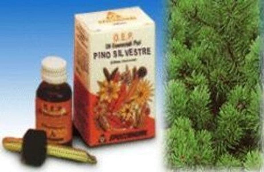 PINO-SILVESTRE-OLIO-ESSENZIALE-PURO-10-ML