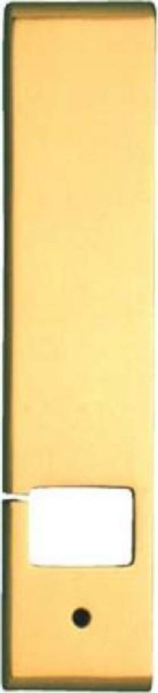 PLACCA-PER-AVVOLGITORE-AD-INCASSO-53x240MM---IN-ACCIAIO-OTTONATO-LUCIDO