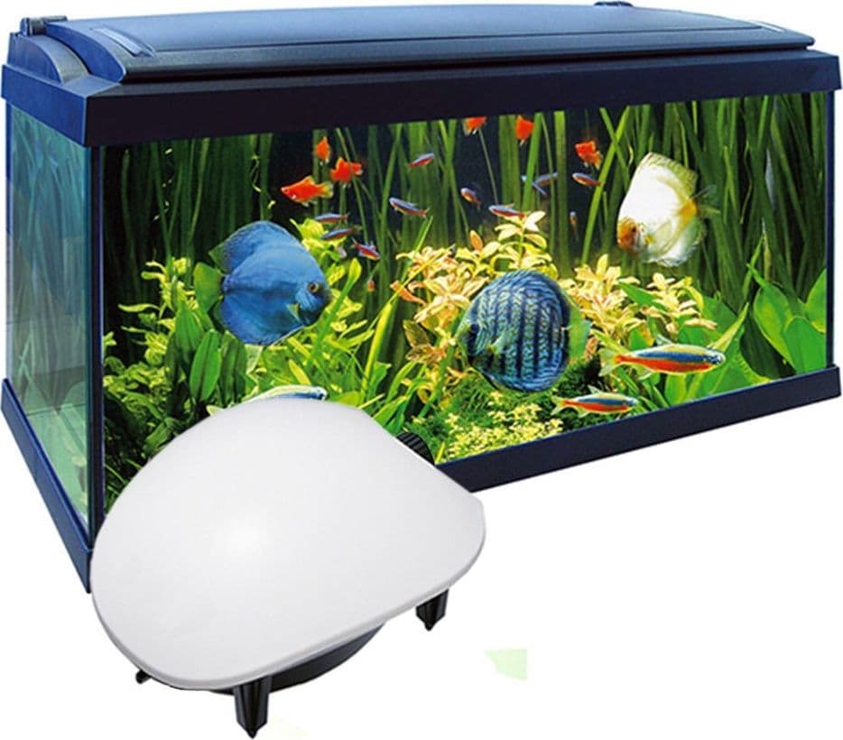 POMPA ARIA AREATORE AERATORE PER DA ACQUARIO PESCI 2,9 L/M ESTERNA 2 W AP-8803 Prodotti per animali domestici/Pesci e animali d'acqua/Pompe e filtri/Pompe d'acqua Trade Shop italia - Napoli, Commerciovirtuoso.it