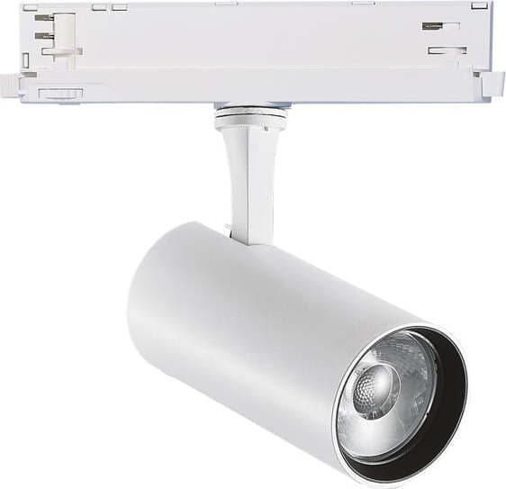Proiettore Fox Dali Alluminio-Materie Plastiche Bianco Led 25W 3000K Cri90