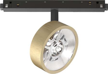 Proiettore-Regolabile-Ego-Alluminio-Ottone-1-Luce-9W-3000K-Luce-Calda-1-10V