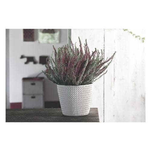 Prosperplast-Vaso-Piante-Tondo-SPLOFY-Bianco