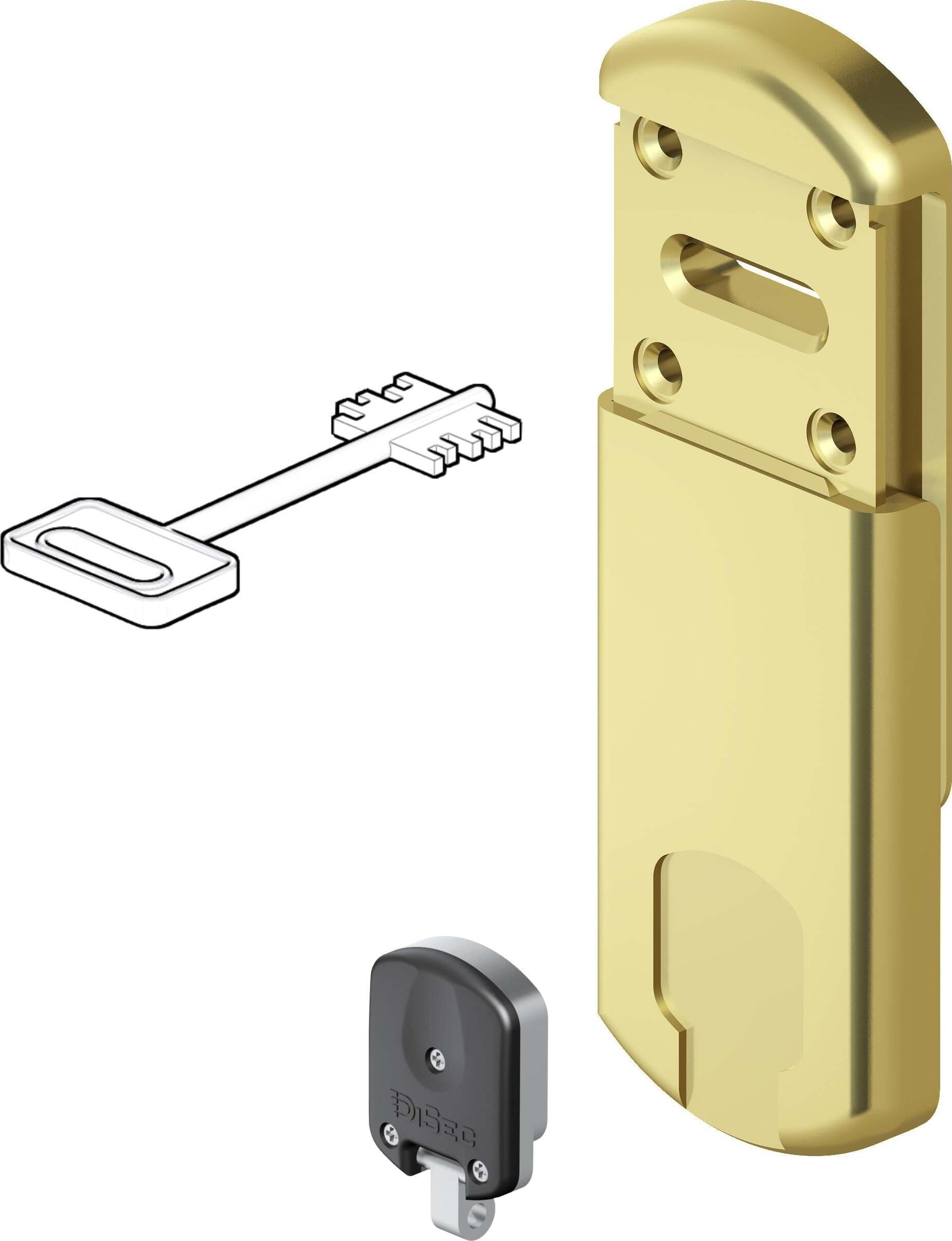 Protector Magnetico Mg220 per Doppia Mappa Corpo in Ottone Con 2 Chiavi a Cifratura Magnetica Oro Lucido Fai da te/Ferramenta/Ferramenta e serrature per porte/Placche per porte Ferus - Montoro, Commerciovirtuoso.it