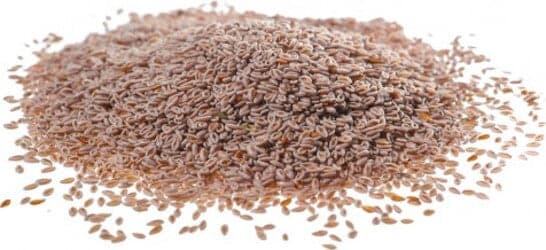 PSILLIO-ISPAGUL-Semi-bianchi-500-gr-Biokyma