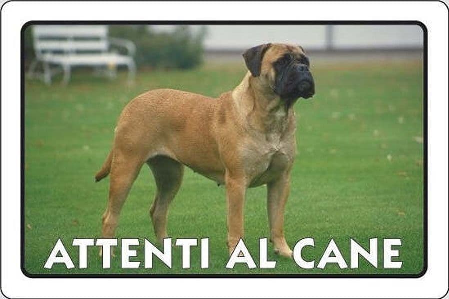 PUBBLICENTRO---CARTELLO-ATTENTI-AL-CANE-300X200mm-IN-PVC