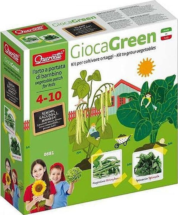 Quercetti Gioca Green Ortaggi Giochi e giocattoli/Giochi educativi e scientifici/Kit e esperimenti di scienze Scontolo.net - Potenza, Commerciovirtuoso.it