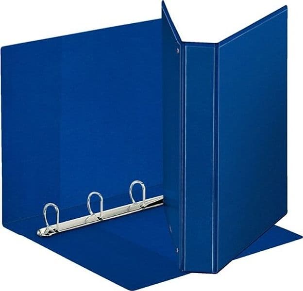 Raccoglitore personalizzabile Display - 4 anelli a D 30 mm - dorso 4 7 cm - 22x30 cm - blu - Esselte Cancelleria e prodotti per ufficio/Archivio ufficio e accessori per scrivania/Raccoglitori e accessori per raccoglitori/Raccoglitori/Raccoglitori a leva per documenti Eurocartuccia - Pavullo, Commerciovirtuoso.it
