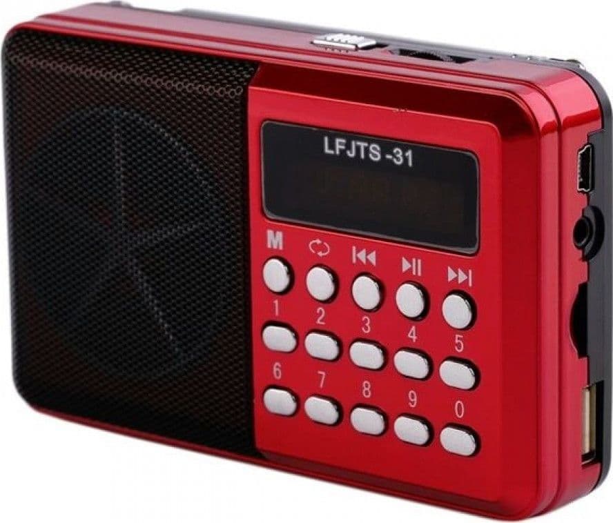 RADIO LETTORE MP3 MINI SPEAKER PORTATILE CON FLASH DRIVER TF CARD DISPLAY LED