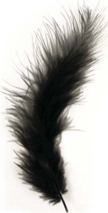 RAYHER---15-PEZZI---PIUMINI-SOFFICI-IN-VELCRO-10-15CM---COLORE-NERO
