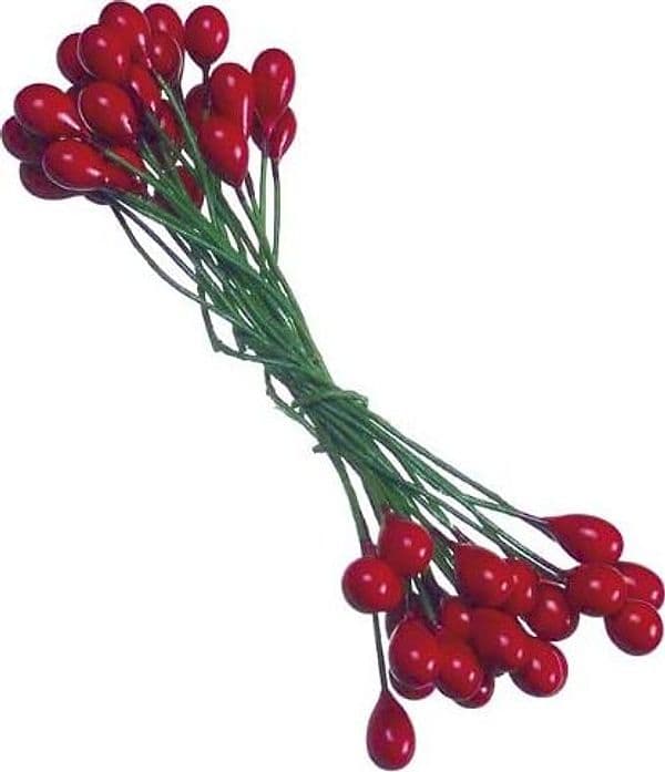 RAYHER---24-STELI-DI-BACCHE-ILICE-ROSSO-6MM
