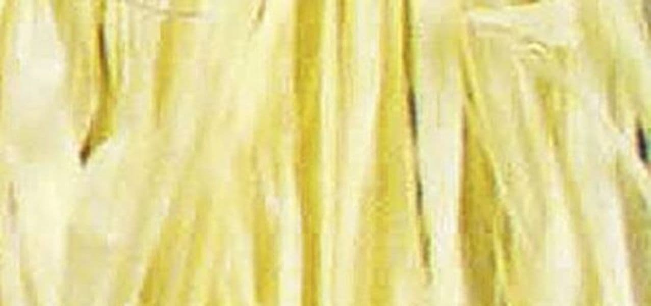 RAYHER---FASCIO-DI-RAFIA-NATURALE-25gr---COLORE-GIALLO