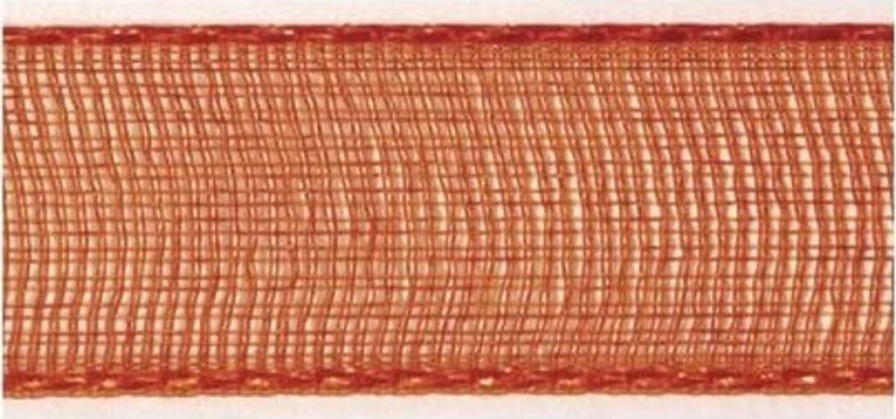 RAYHER---NASTRO-DI-ORGANZA-ARANCIO-3MM---10-MT