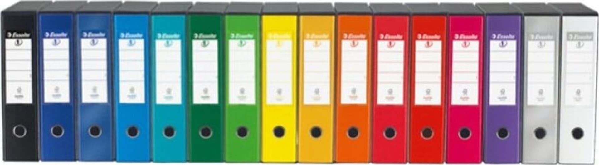 Registratore Eurofile G53 - dorso 8 cm - commerciale 23x30 cm - turchese - Esselte Cancelleria e prodotti per ufficio/Archivio ufficio e accessori per scrivania/Raccoglitori e accessori per raccoglitori/Raccoglitori/Raccoglitori a leva per documenti Eurocartuccia - Pavullo, Commerciovirtuoso.it