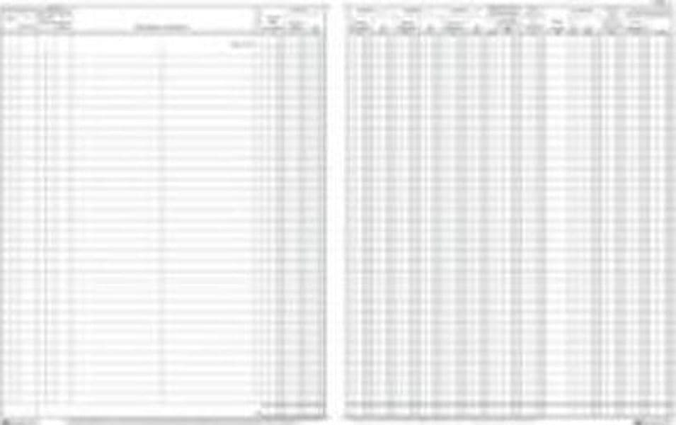 Registro Iva acquisti - 31 x 24 5cm - 22pg - numerate - Edipro Cancelleria e prodotti per ufficio/Archivio ufficio e accessori per scrivania/Modulistica e conservazione registri/Libri e registri contabili Eurocartuccia - Pavullo, Commerciovirtuoso.it