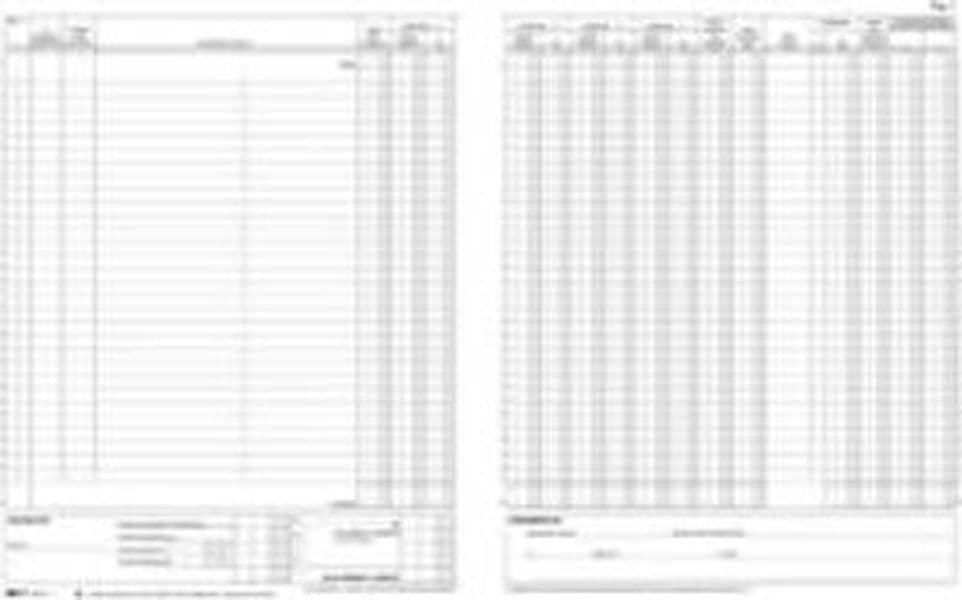 Registro Iva fatture - 31 x 24 5cm - 22pg - numerate - Edipro Cancelleria e prodotti per ufficio/Archivio ufficio e accessori per scrivania/Modulistica e conservazione registri/Libri e registri contabili Eurocartuccia - Pavullo, Commerciovirtuoso.it