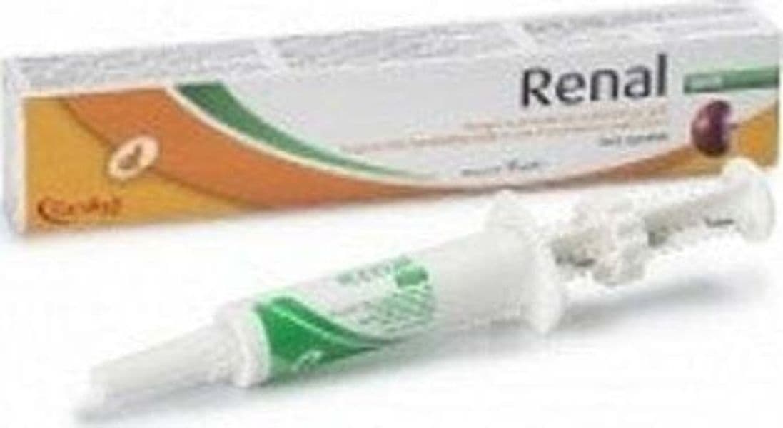 RENAL-GATTI-PASTA-SIRINGA-15-ML