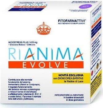 RIANIMA-EVOLVE-14-BUSTINE