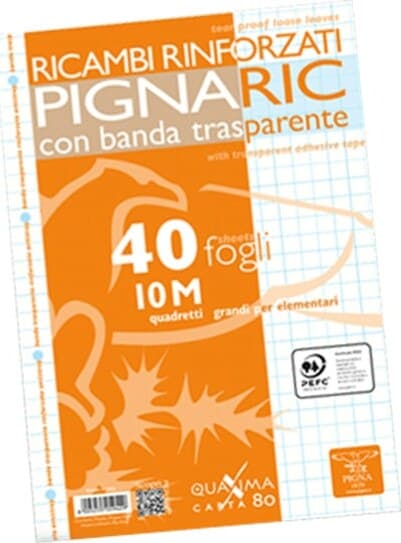 Ricambi forati rinforzati Pignaric - A4 - quadretto 10mm - 40 fogli - 80gr - Pigna Cancelleria e prodotti per ufficio/Scuola e materiale didattico/Materiale scolastico/Diari quaderni e block notes Eurocartuccia - Pavullo, Commerciovirtuoso.it