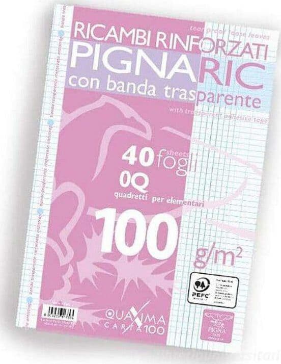 Ricambi-rinforzati-a4-100gr-Q-Pigna