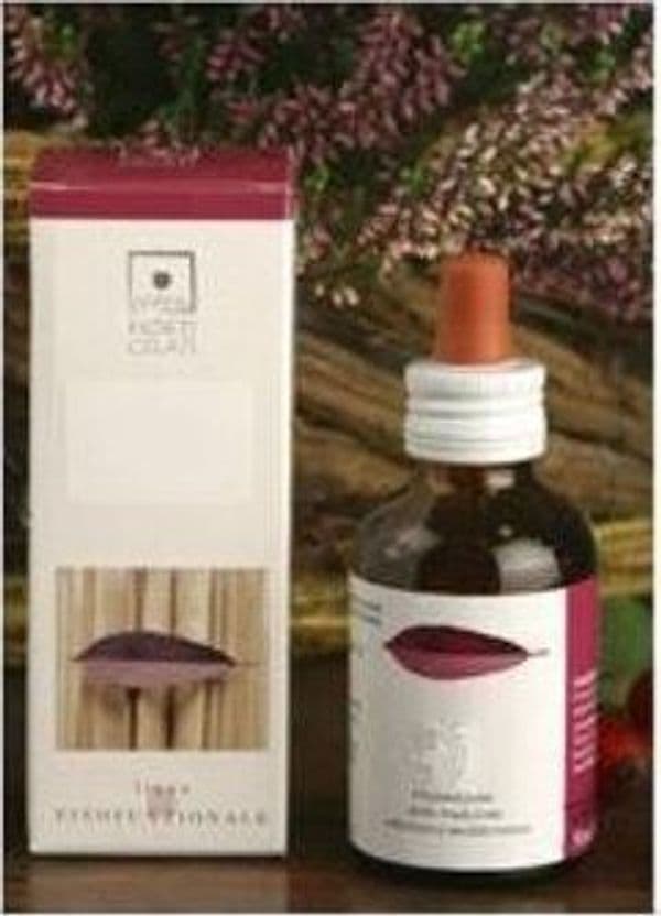 RUBUS-IDAEUS-Estratto-Idrogliceroalcolico-50-ml-Santiveri-Ibersan