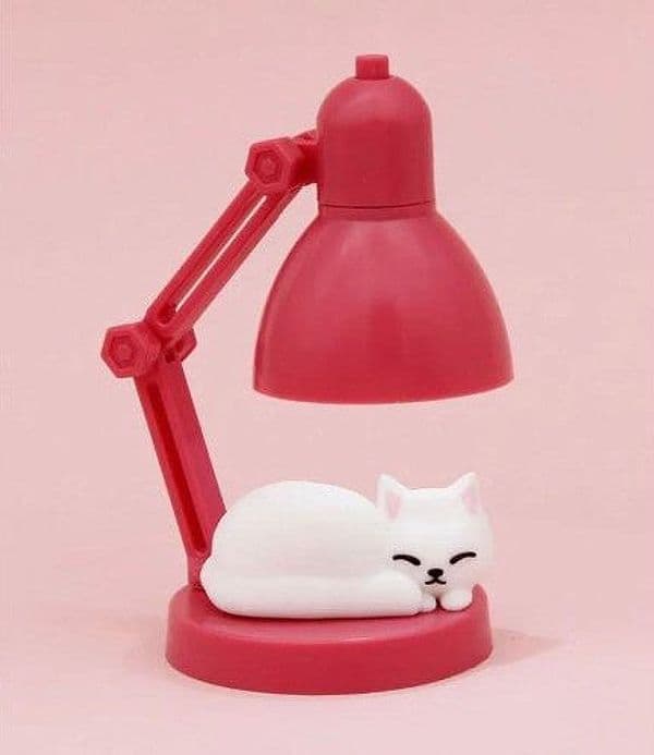 WINKEE Lampada gattina mini in Autocategorizzazione Più Di Più Ideas - Casalnuovo di Napoli, commercioVirtuoso.it