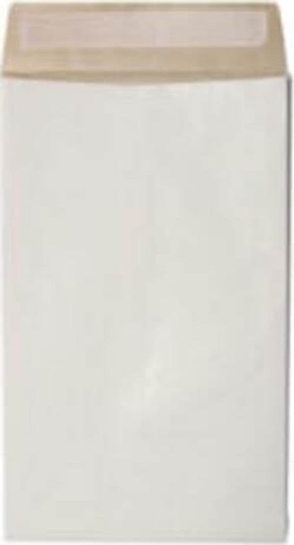 Sacchetto Secursac - antistrappo - C4 - 23 x 33 x 4 cm - 130 gr - bianco - Blasetti - conf. 100 pezzi Commercio Industria e Scienza/Forniture per imballaggio e spedizione/Scatole buste e tubi per spedizione/Buste per spedizione/Buste imbottite Eurocartuccia - Pavullo, Commerciovirtuoso.it